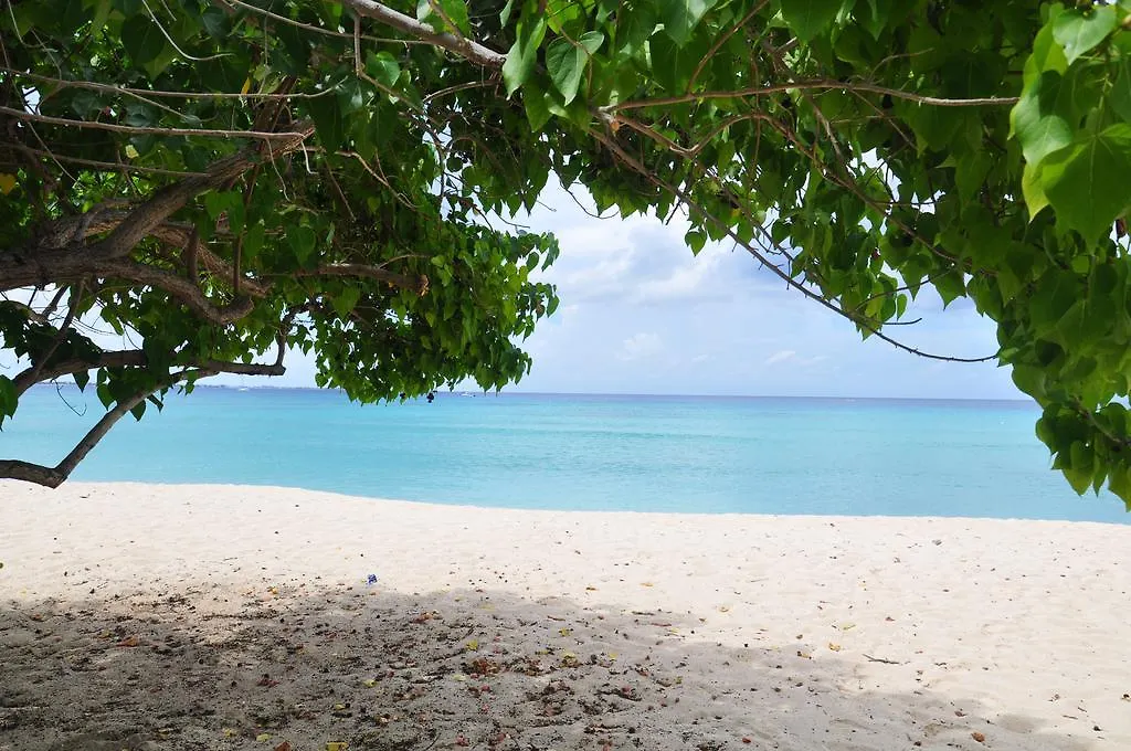 Appartement Calypso Cove à West Bay